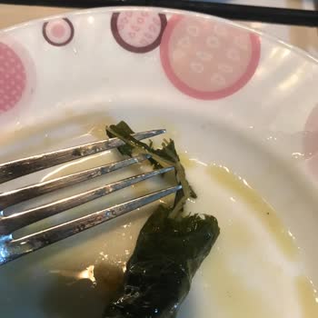 Ayşeli Köy Ürünleri Salamura Yaprak Sorunu