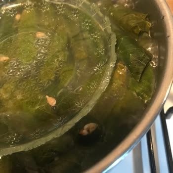 Ayşeli Köy Ürünleri Salamura Yaprak Sorunu