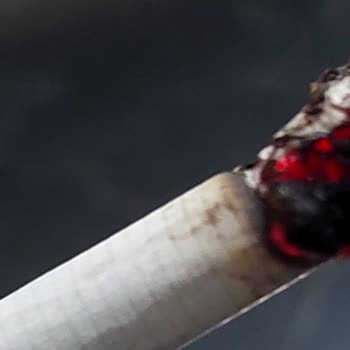 Philip Morris Sigara Tütünü Çok Kalitesiz