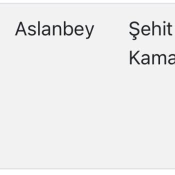 DASK (Doğal Afet Sigortaları Kurumu) Malatya Depremleri Sonucu Evde Hasar Oluşması