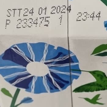 Torku İçinde Yeşil Madde Var