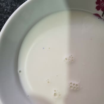 Torku İçinde Yeşil Madde Var