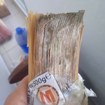 Migros Küflü Makarna