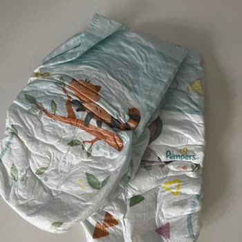 Prima Bez Pişik Yaptı