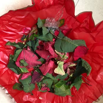 Çiçek Sepeti Ürün Teslim Sorunu