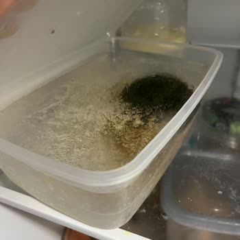 Profilo Buzdolabı Buzlanma Sorunu