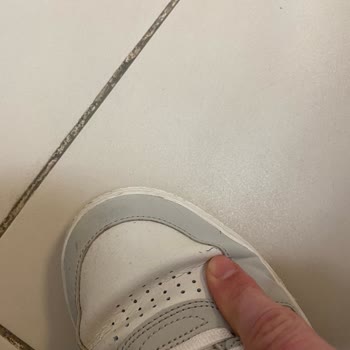 House of Superstep House Of Super Stepten Almış Olduğum Kusurlu Lacoste