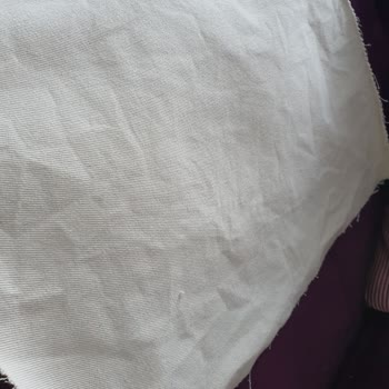 Lizzoni Home (Instagram) Kumaş Yanıltması