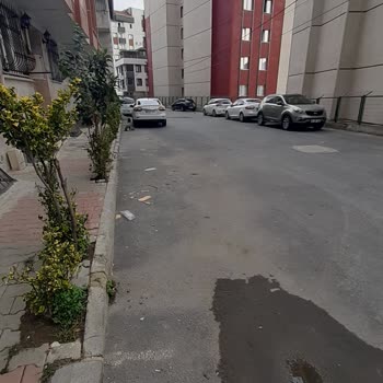 EyüpSultan Belediyesi Sokak Temizlenmiyor Her Gün