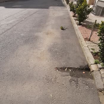 EyüpSultan Belediyesi Sokak Temizlenmiyor Her Gün
