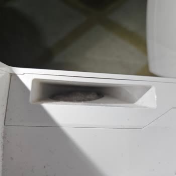 Roborock Tozu Hazneye Almıyor Haznenin Ağzında Toz