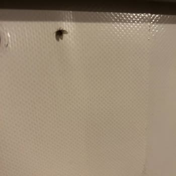 Bungalov.com.tr Bungalov.com Yetkilisinin Yarattığı Mağduriyet!