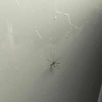 Bungalov.com.tr Bungalov.com Yetkilisinin Yarattığı Mağduriyet!