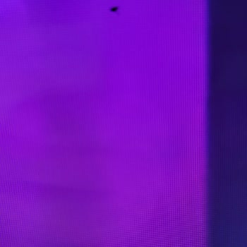 Sunny TV Ekran İçinde Sinek Var Yapışmış Durumda.