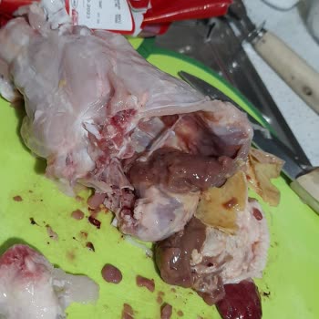 Lezita Zehirlenme Tavuk İç Organ