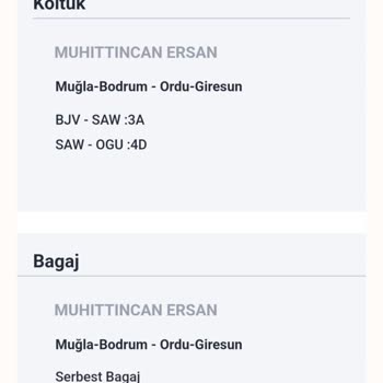 THY Ekstra Bagaj Sorunu