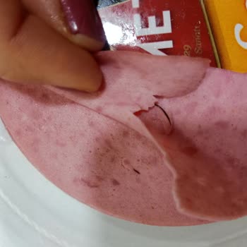 Namet Maret Hindi Salam İçinden Çıkan Böcek Ayağı