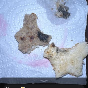 Saloon Burger Burger Etinden Çıkan