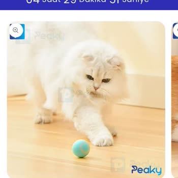 Peaky Flavio Ürünü Kargolamıyor, Sorulara Cevap Vermiyor