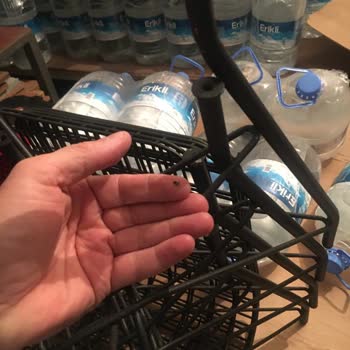 A101 Mutfak Masa Sandalye Takımı