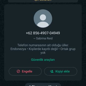 WhatsApp +62 Kod Endonezya