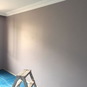 Polisan Gizemli Gri Lila Rengi Görünüyor