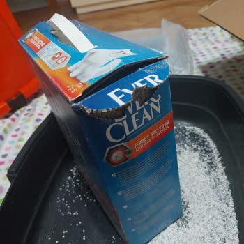 Petzz Shop Kedi Kumu Paketi Patlak Geldi