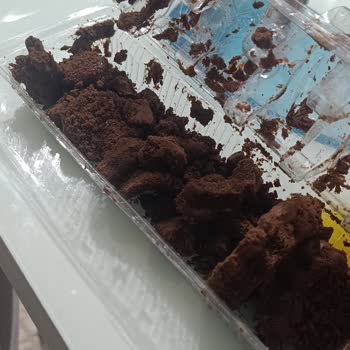 Yenilmeyecek Durumda Ülker Dankek Halley