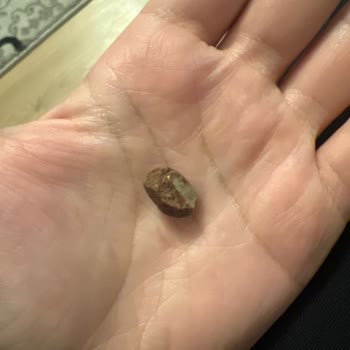 Çerezya Karışık Kuruyemiş İçinden Taş Çıktı