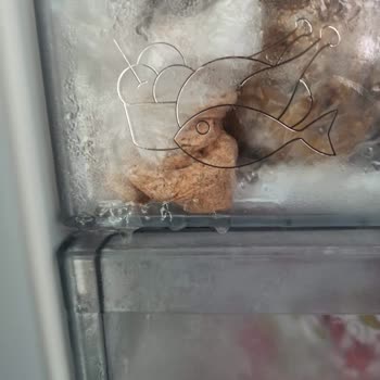 Arçelik Ayıplı Ürün Sahip Çıkılması