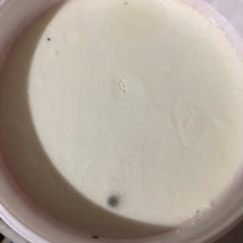Cepte Şok Küflü Yoğurt Gönderimi