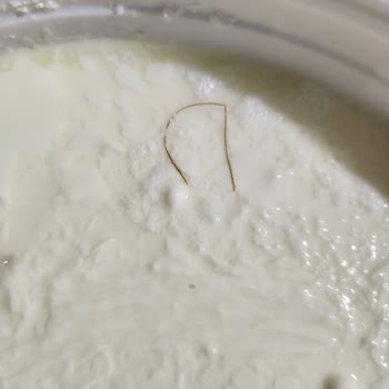 Dost Süt Yoğurttan Kıl Çıktı