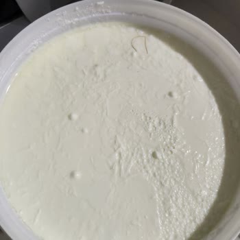 Dost Süt Yoğurttan Kıl Çıktı