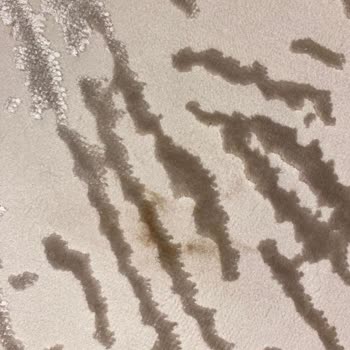 Halı Evi (Ankara) Halı Siparişi Verirken Yaşadığımız Sorunlar Ve Çözümsüzlük