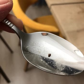 Hero Baby Mamada Böcek Çıktı