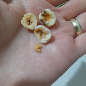 Şehzade Market Sehzade Market Kurtlu Ürün