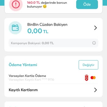 BinBin Alan İçine Park Etmeme Rağmen Ceza Yazılmış