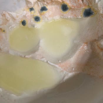 BİM Son Kullanma Tarihine Zaman Varken Küflenen Yoğurt