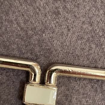 Lily and Rose Bikini Metalleri Soyulması Ve Boya Vermesi