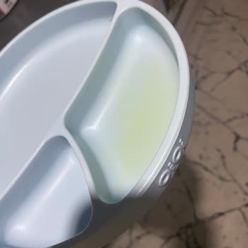 Oioi Silikon Tabağı Havucun Rengini Aldı