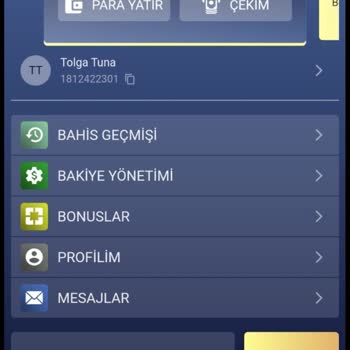 CasinoMega Casino 230 Sitesini Bulamıyorum