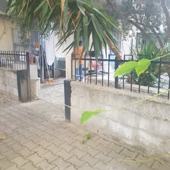 Axa Sigorta'nın Check-up Hizmeti İçin Yaşadığım Kötü Deneyim