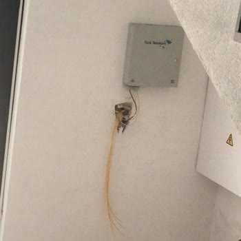 Poyraz WiFi Mağdur Etmek Kötülemek