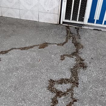 Pepsi 2,5 Ve 330 Ml Kolaların Patlaması