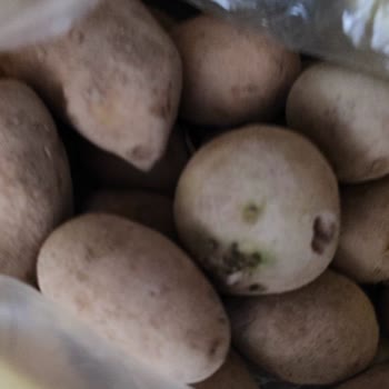 Cepte Şok Ürün İadem Yanıtsız Kaldı