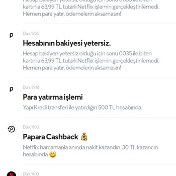 Papara Netflix Hesabımdan İki Kez Ücret Çekiyor