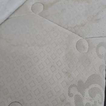 Bellona'dan Alınan Yataklarda Oluşan Kahverengi Lekeler