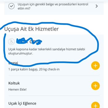 Pegasus Talep Oluşturulmasına Rağmen Tekerlekli Sandalye Verilmedi.