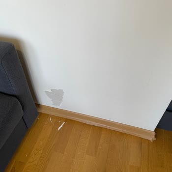 Mr Usta Temizliğe Gelip, Duvar Boyasını Kaldırdılar!