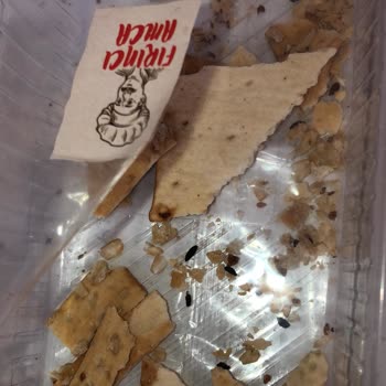 Migros Fırını Amca Fare P*isliği
